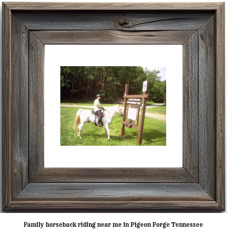 family horseback riding near me in Pigeon Forge, Tennessee